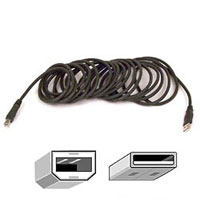 BELKIN Pro Series USB 2.0 Cable A/B - 16 in