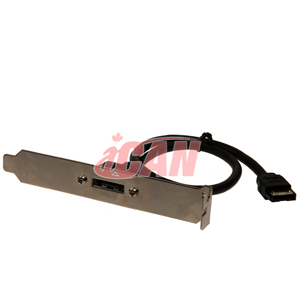 iCAN Extends/Converts 2 Internal Sata to 1 eSATA2 Port