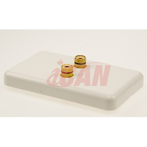iCAN 2-Piece Inset Wall Plate for 1 Speaker – Coupler Type