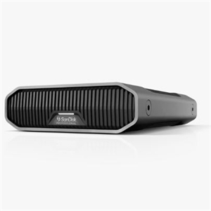 SanDisk PROJET G-DRIVE 22To Noir