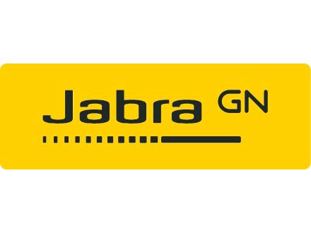 Jabra Evolve 65 TE USB-A MS Stereo Stand