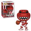 NBA Raptors