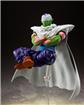 Piccolo The Proud Namekian 