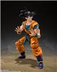 Son Goku Super Hero