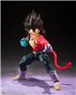 Super Saiyan 4 Vegeta - Dragon Ball GT