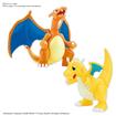 Charizard & Dragonite