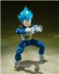 Super Saiyan God Super Saiyan Vegeta