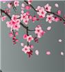 Cherry Blossom - Grey