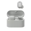Platinum Silver
