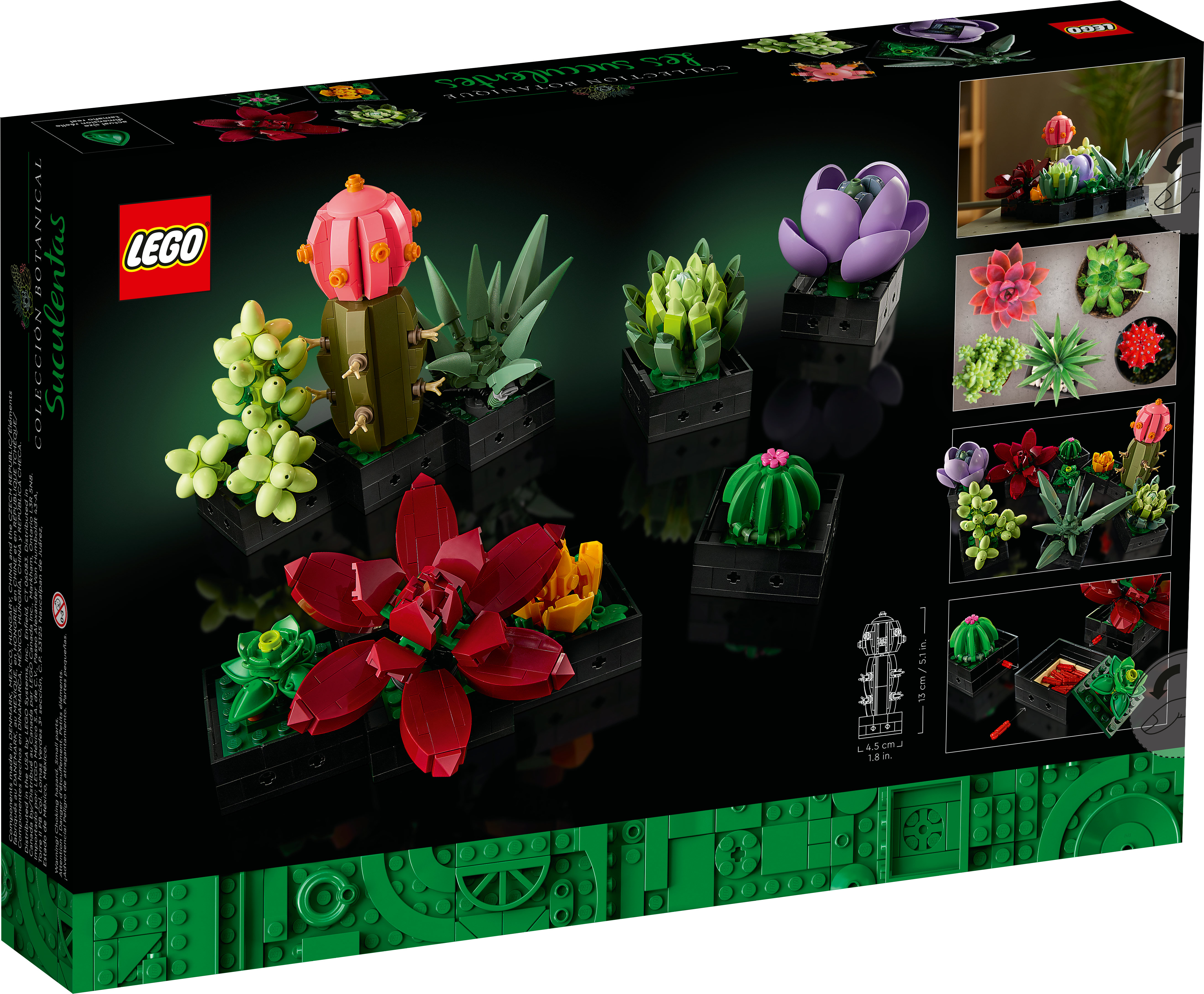 LEGO Icons Ensemble de plantes succulentes et de fleurs pour adultes,