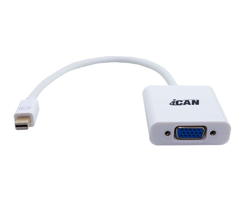 iCAN Adaptateur Mac Mini DisplayPort mâle vers SVGA femelle