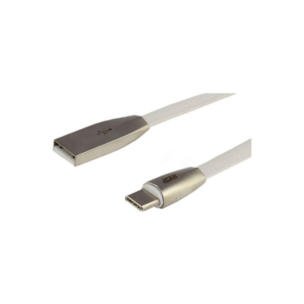 iCAN - Câble de type C blanc