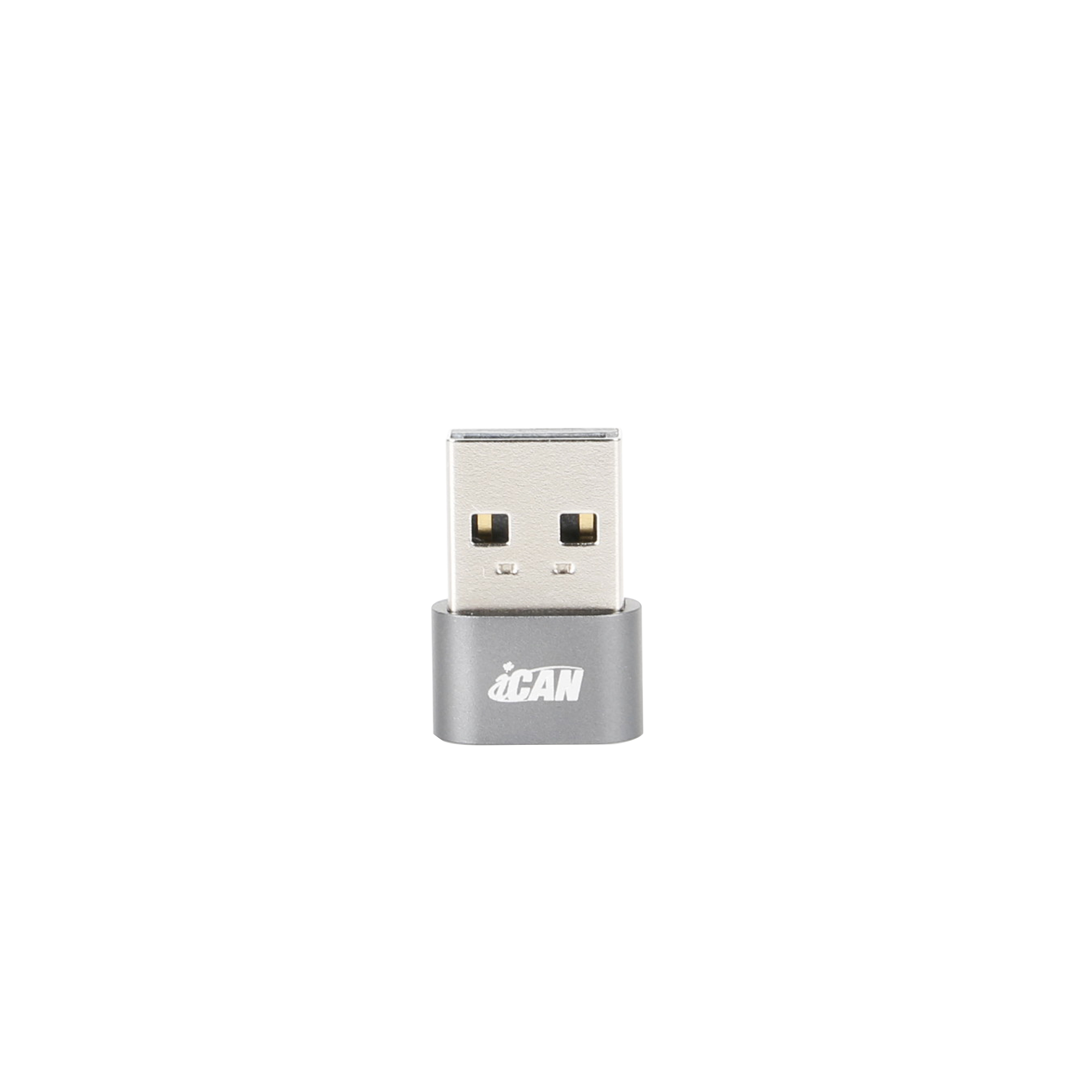 Adaptateur iCAN USB 2.0 A mâle vers type C femelle, gris