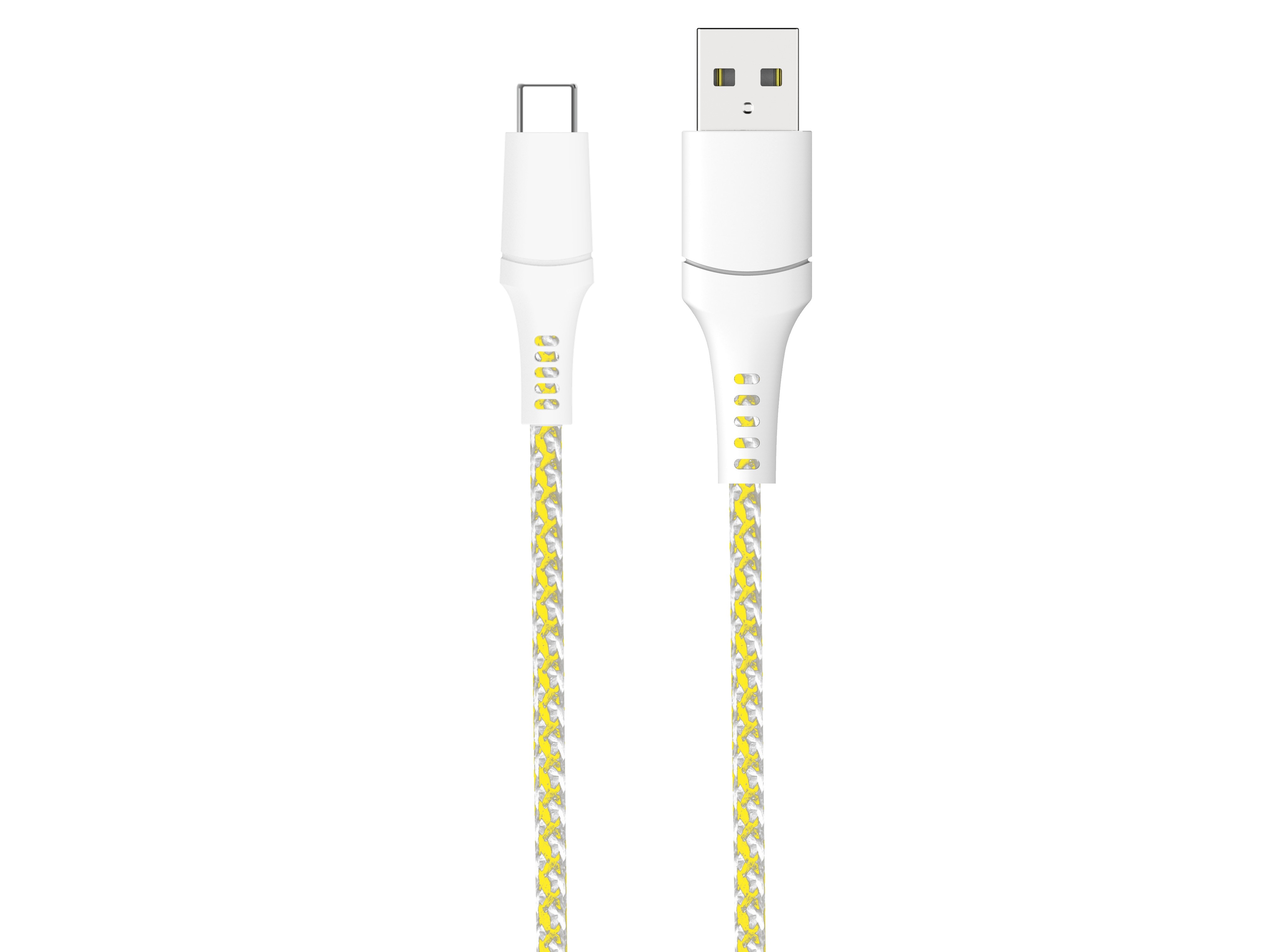Câble iCAN USB 2.0 Type-A Mâle vers Type-C Mâle, 100W, 3,3 pieds