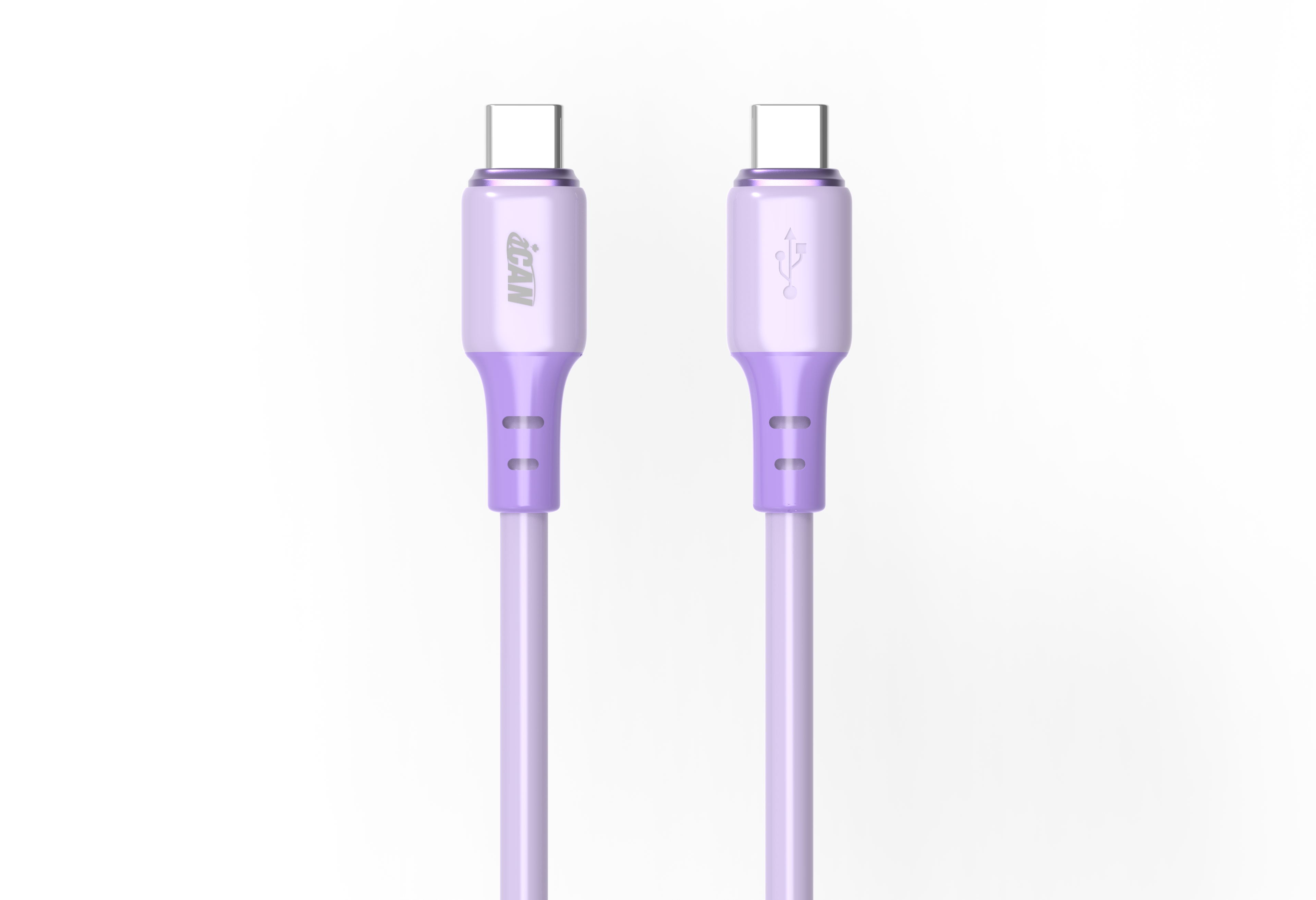 Câble iCAN USB 2.0 Type-C Mâle vers Type-C Mâle, 100W, 6,6 pieds