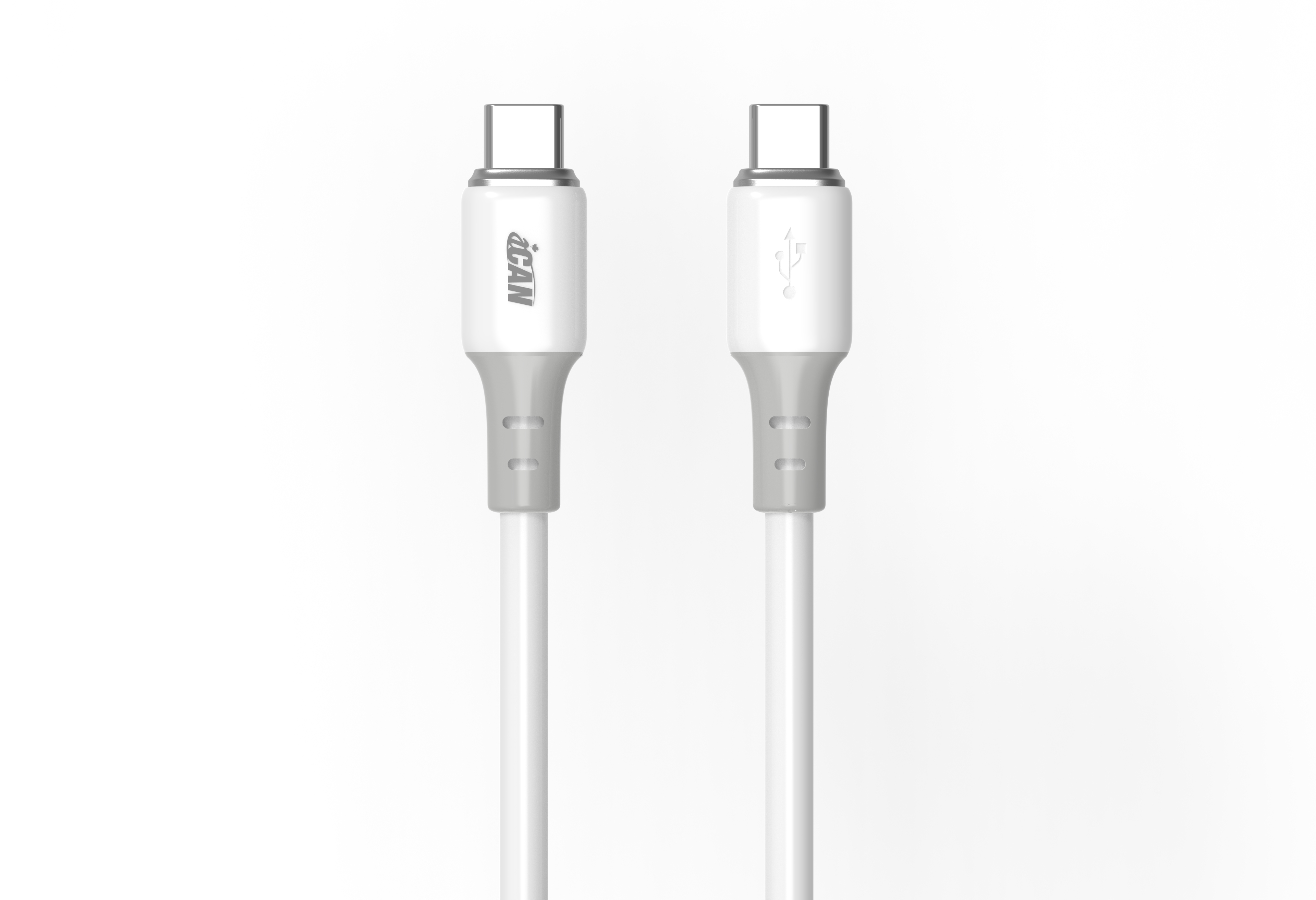 Câble iCAN USB 2.0 Type-C Mâle vers Type-C Mâle, 100W, 6,6 pieds