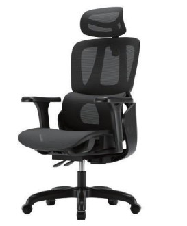 Chaise de bureau ergonomique iCAN E21-BK en maille spéciale