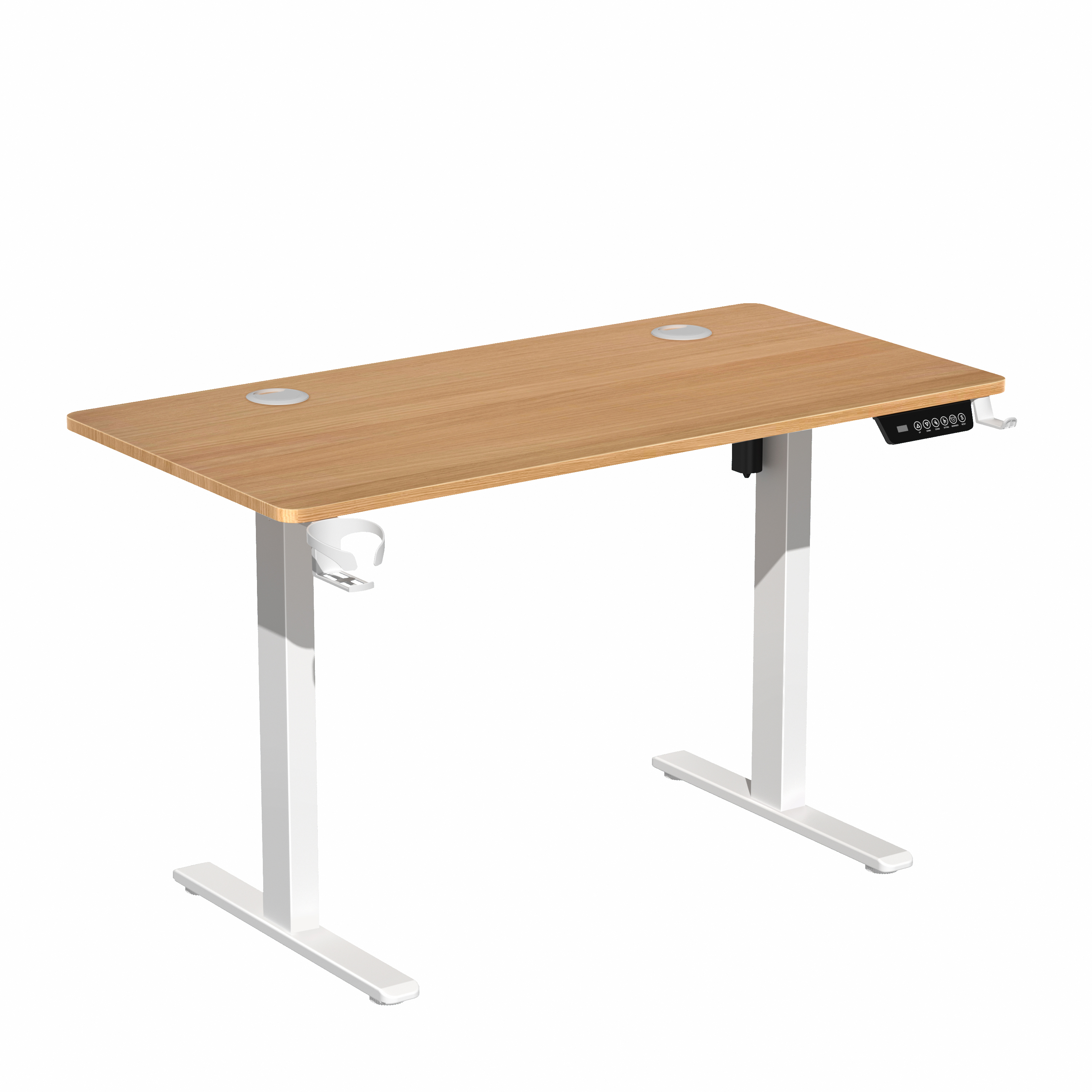 iCAN HA-04-C-OA Electric Height Adjustable Desk