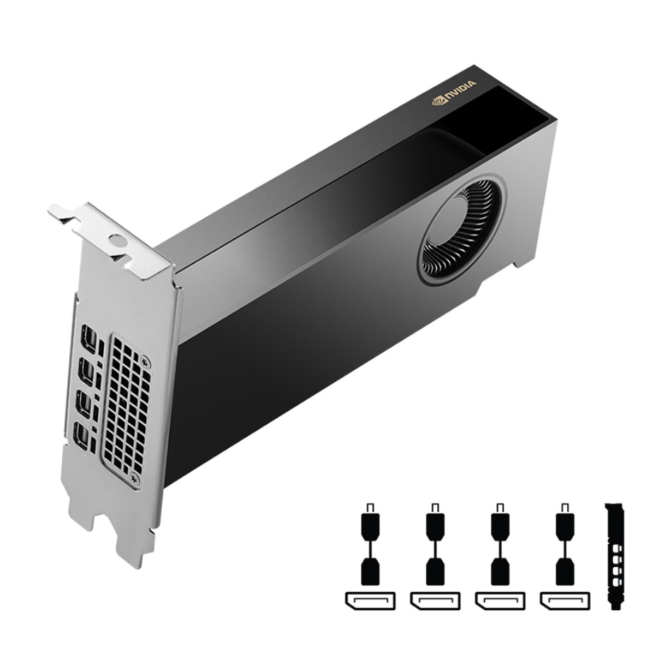 Carte graphique professionnelle NVIDIA RTX™ 2000 Ada 16 Go GDDR6