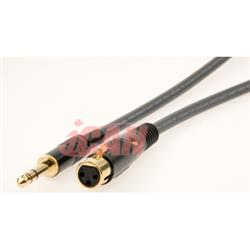 iCAN XLR-F TRS-M 22AWG ProAudio Silver Wires - 6 ft.