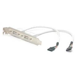 StarTech (USBPLATE) - Adaptateur de plaque 2 ports femelles USB A - 11,25 - USB A femelles