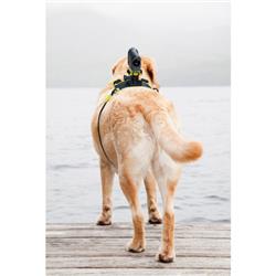 SONY AKADM1 Dog Mount for Action Cam(Open Box)