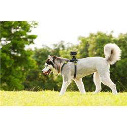 SONY AKADM1 Dog Mount for Action Cam(Open Box)