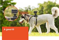 SONY AKADM1 Dog Mount for Action Cam(Open Box)