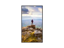 SHARP 43" Class Commercial LCD Display - (PN-E439)