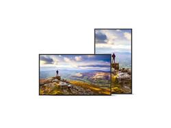 SHARP 43" Class Commercial LCD Display - (PN-E439)