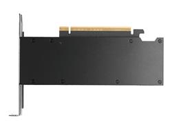 PNY NVIDIA RTX PRO 2000 BLACKWELL 16GB GDDR7 PCI Express 5.0 x8