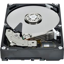 TOSHIBA X25 INTERNAL 3.5IN N300 6TB