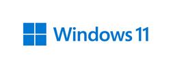 MICROSOFT WIN11 IOT ENT HAUT DE GAMME HAUT DE GAMME EPKEA (ESD)