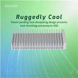 OWC Express 1M2 USB4 Silver