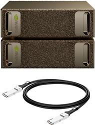NVIDIA DGX Spark GB10 128 Go 4To NVIDIA DGX OS Lot de 2