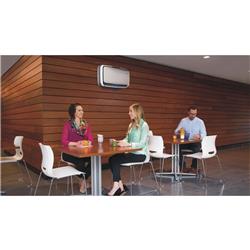 AERAMAX PRO AM IV INOX (MONTAGE MURAL) 120V NA