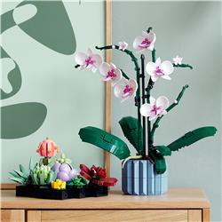 LEGO Icons Ensemble de plantes succulentes et de fleurs pour adultes,