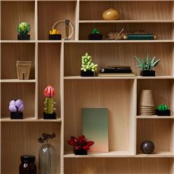 LEGO Icons Ensemble de plantes succulentes et de fleurs pour adultes,