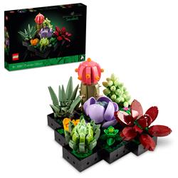 LEGO Icons Ensemble de plantes succulentes et de fleurs pour adultes,