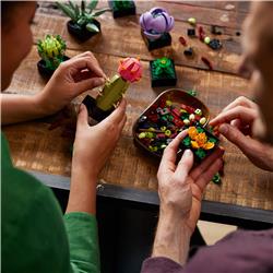 LEGO Icons Ensemble de plantes succulentes et de fleurs pour adultes,