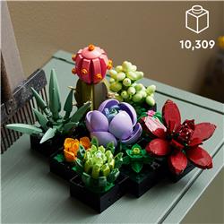 LEGO Icons Ensemble de plantes succulentes et de fleurs pour adultes,