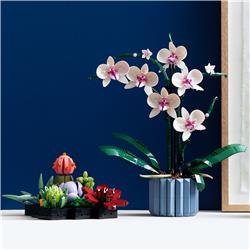 LEGO Icons 10311 Plante et fleurs d'orchidée
