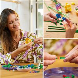 LEGO Icons Bouquet de fleurs sauvages Fleurs artificielles 10313
