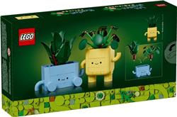 LEGO Botanicals Happy Plants Shelf Decor 10349