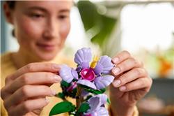 LEGO Botanicals Hibiscus Flower Building Set for Adults 10372
