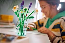 LEGO Botanicals Daisies Flower Decor 11508