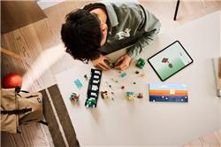 LEGO Minecraft Mini Biomes Gaming Art Building Set 21589