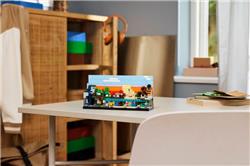 LEGO Minecraft Mini Biomes Gaming Art Building Set 21589