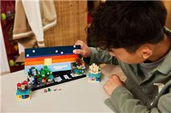 LEGO Minecraft Mini Biomes Gaming Art Building Set 21589