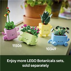 LEGO Botanicals Rocking Plant Shelf Decor 11506
